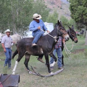 Meet your Posher, Kaden